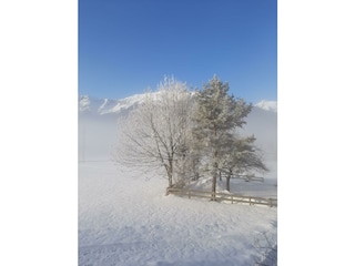 Wohnzimmerausblick Richtung Skigebiet Christlum1