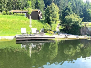 Teich Tiny Houses Unken