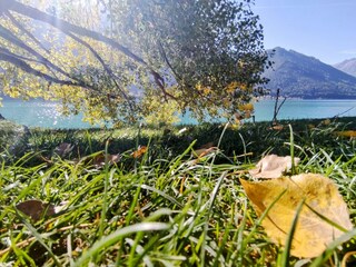 IMG_20231013_134003~2[1]