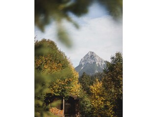 _DSC0445-Edit