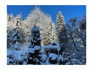 Kaiserwetter