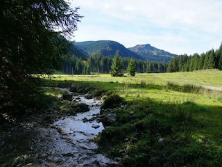 Bach hinter dem Haus
