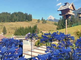 Guffertblick