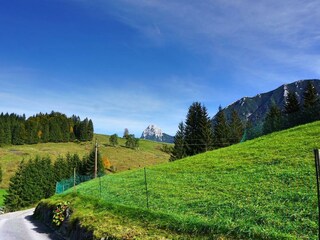 Traumhafte Aussicht