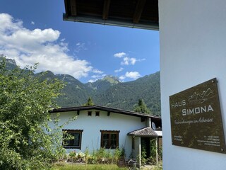 IMG_2481