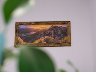 DSCF7801