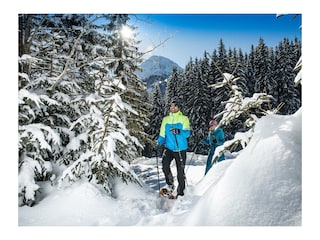 Schneeschuhwandern in Steinberg am Rofan  Snowshoe