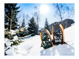Schneeschuhwandern in Steinberg am Rofan  Snowshoe