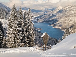 Blick auf den Achensee View of Lake Achensee (1)