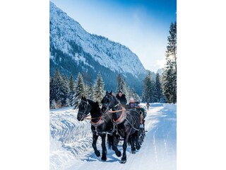 Pferdekutschenfahrt mit der Familie am Achensee  F