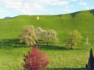 Blick aus dem Wintergarten zum Wiesinger Bühel