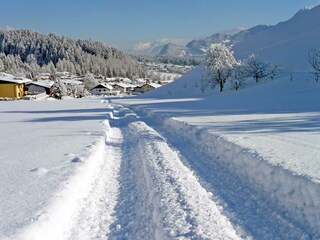 tief verschneiter Weg