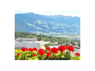 thumbnail_Screenshot_20230321-170454_WhatsApp