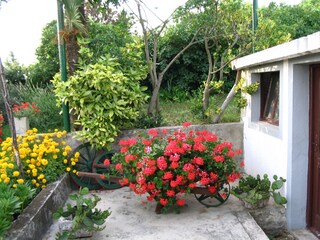 Casa per le vacanze Labin Registrazione all'aperto 5