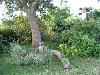 Casa per le vacanze Labin Registrazione all'aperto 6