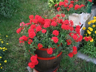 Casa per le vacanze Labin Registrazione all'aperto 10