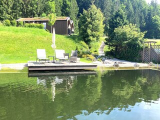 Teich Tiny Houses Unken