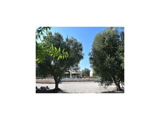 Holiday house Ostuni Outdoor Recording 21