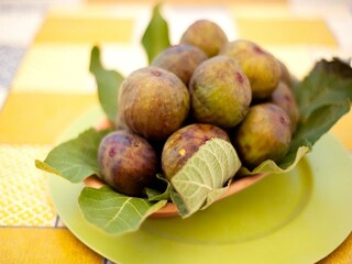 Appartamento San Lorenzo (Sizilien)  39