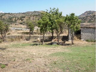 Villa Gaggi Environnement 29