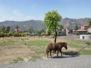Villa Gaggi Environnement 30