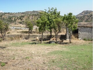 Villa Gaggi Environnement 24
