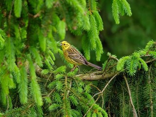 Casa de vacaciones Hovborg  32