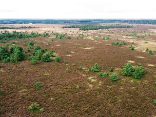 Casa de vacaciones Hovborg  27