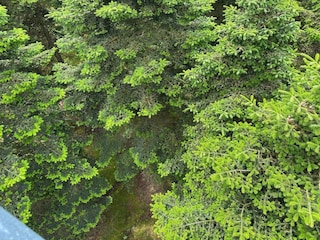 Holiday house Hovborg  31