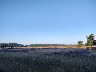 Holiday house Hovborg  32