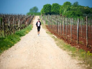 Ferienpark Novigrad (Istrien) Umgebung 8