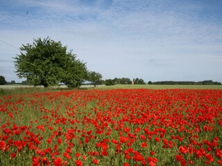 Vakantiehuisje Warrenzin Omgeving 32