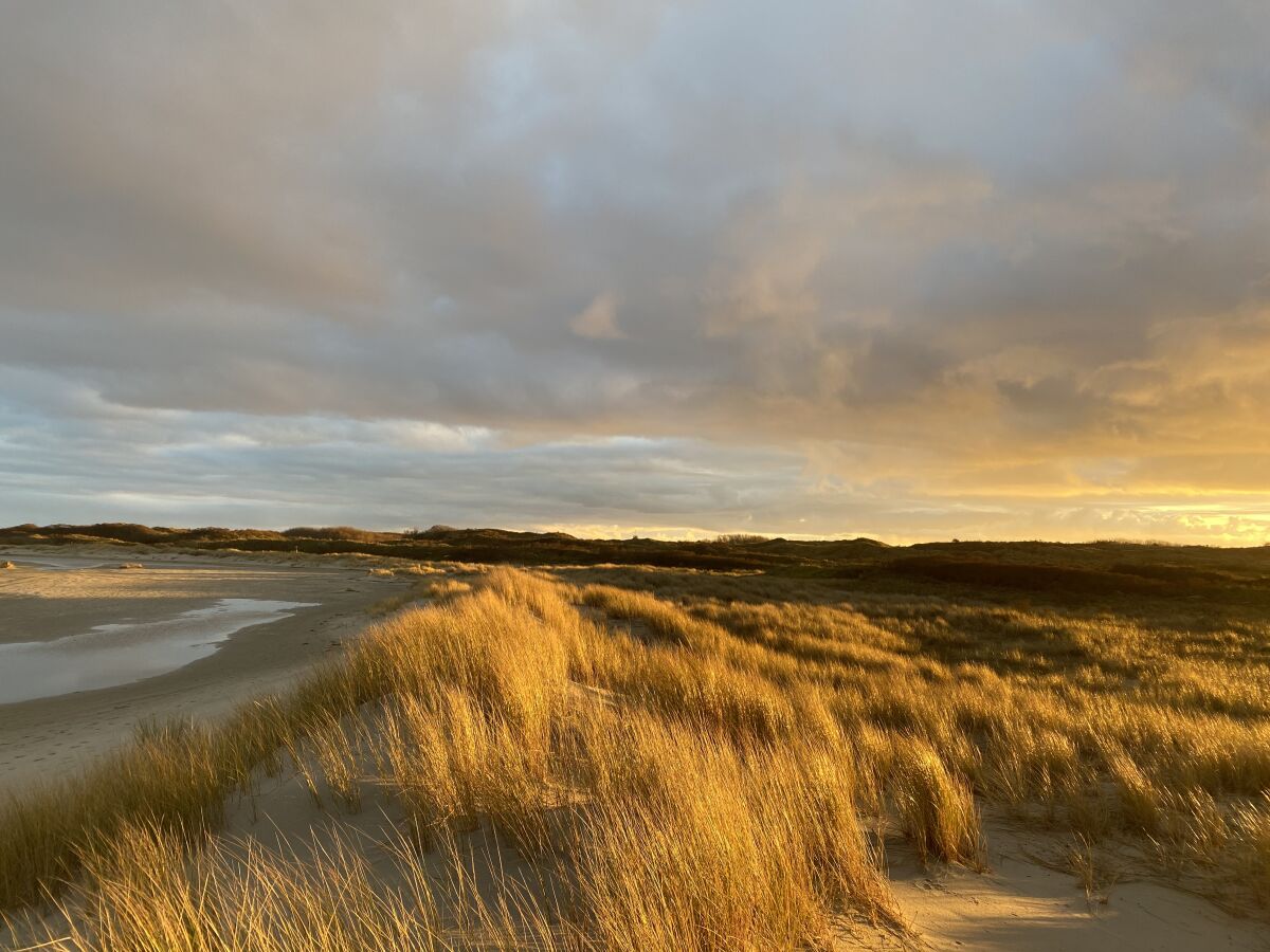 Strand Hooge Hörn