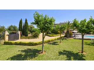 Casa per le vacanze Alcudia Registrazione all'aperto 22