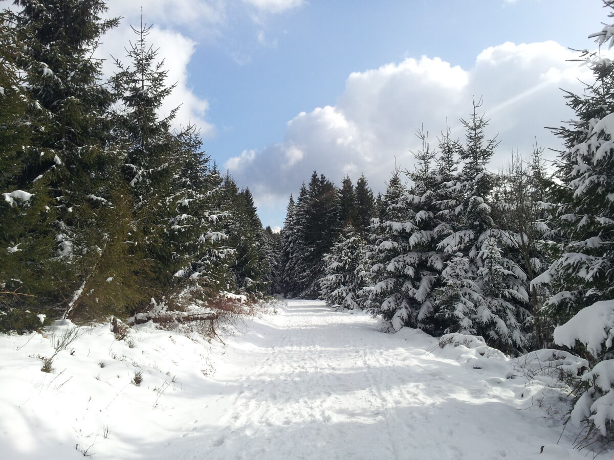 Winterlandschaft