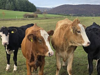 Landleben