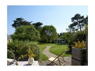 Garten Blick