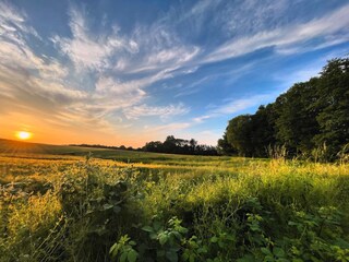 Aussenbereich des Baumhauses