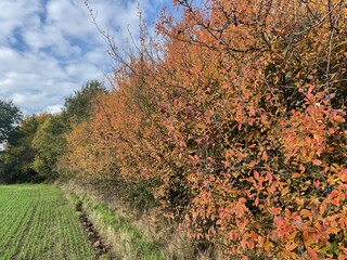 Herbstfarben