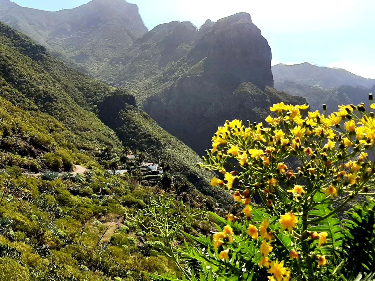 Wandern in der Schlucht von Masca