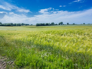Ackerfläche
