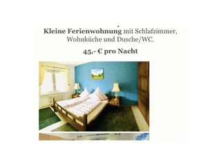 Ferienwohnung Menzenschwand Außenaufnahme 2