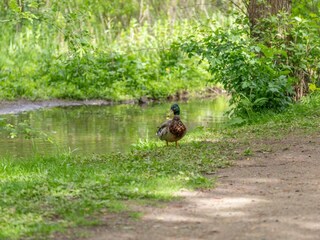Ferienwohnung Breklum Außenaufnahme 18