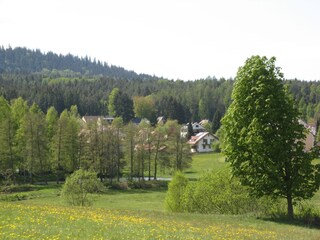 Blick auf Alexandersbad