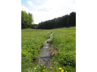 Wenderner Tal