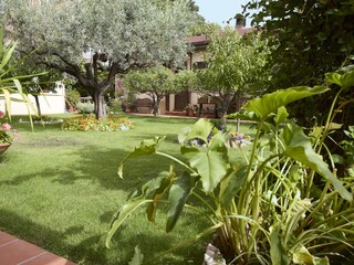Blick in den Garten
