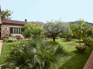 Blick in den Garten