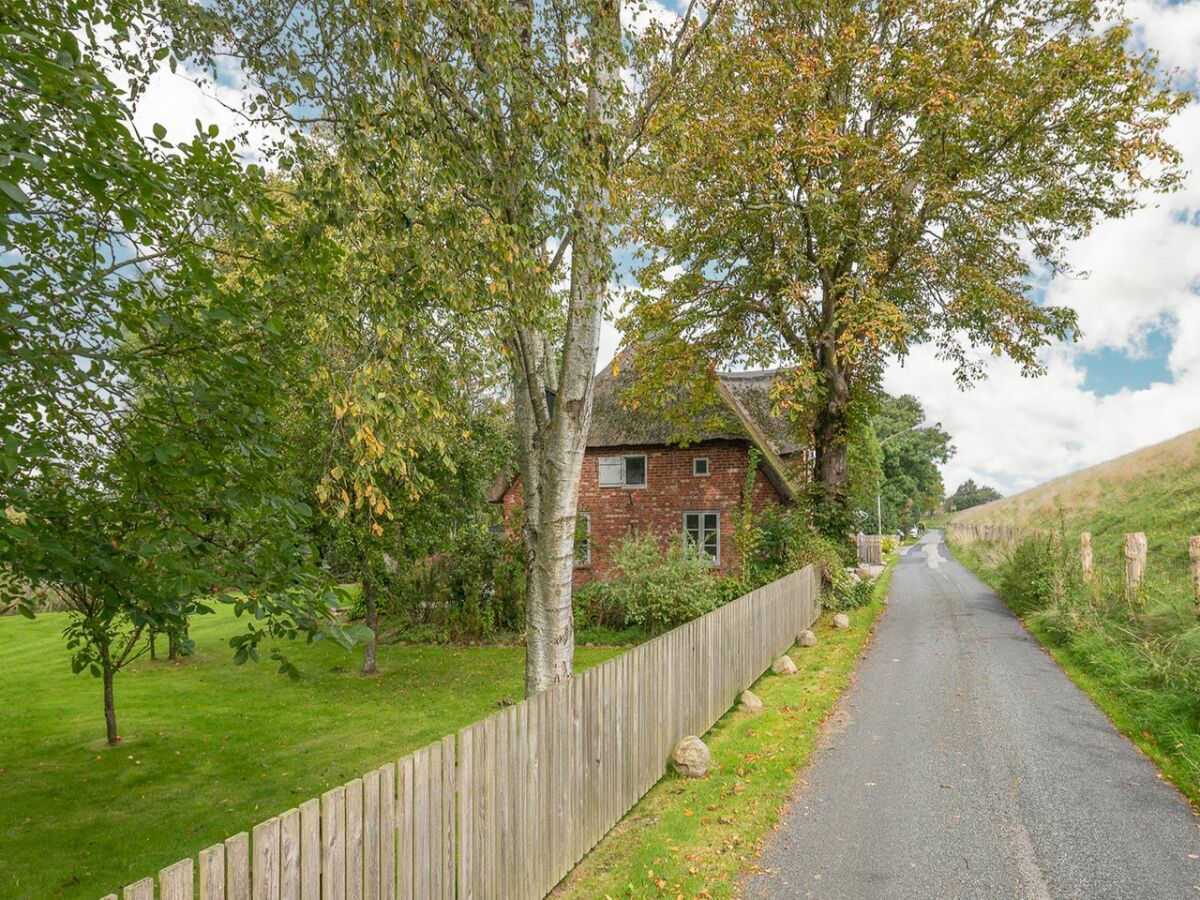 Ferienhaus Lehe Außenaufnahme 4