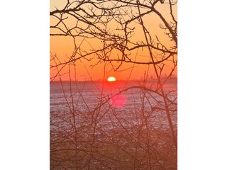 Ferienhaus Lehe Außenaufnahme 41