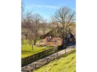 Ferienhaus Lehe Außenaufnahme 42